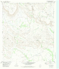 Download a high-resolution, GPS-compatible USGS topo map for Duff Springs, TX (1984 edition)