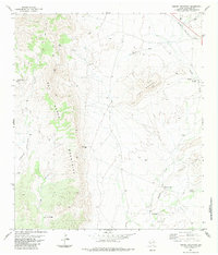 Download a high-resolution, GPS-compatible USGS topo map for Dugout Mountain, TX (1984 edition)