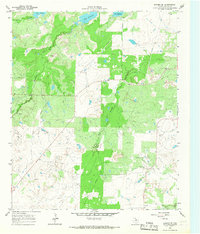 preview thumbnail of historical topo map of Archer County, TX in 1964