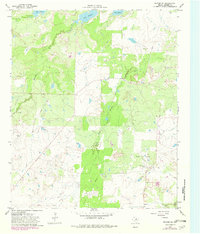 Download a high-resolution, GPS-compatible USGS topo map for Dundee SE, TX (1982 edition)