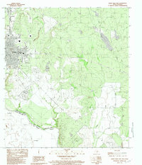 Download a high-resolution, GPS-compatible USGS topo map for Eagle Pass East, TX (1983 edition)