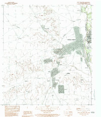 Download a high-resolution, GPS-compatible USGS topo map for Eagle Pass West, TX (1983 edition)