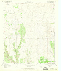 Download a high-resolution, GPS-compatible USGS topo map for East Afton, TX (1970 edition)