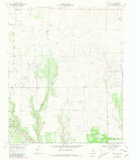 Download a high-resolution, GPS-compatible USGS topo map for East Afton, TX (1981 edition)