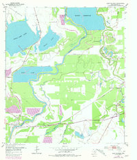 Download a high-resolution, GPS-compatible USGS topo map for East Columbia, TX (1980 edition)
