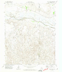 Download a high-resolution, GPS-compatible USGS topo map for East Dry Creek, TX (1974 edition)