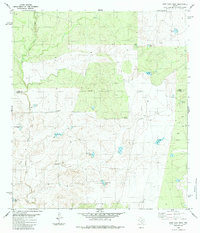 Download a high-resolution, GPS-compatible USGS topo map for East Losa Tank, TX (1984 edition)