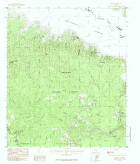 Download a high-resolution, GPS-compatible USGS topo map for Ebenezer, TX (1984 edition)
