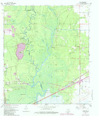 Download a high-resolution, GPS-compatible USGS topo map for Echo, TX (1984 edition)