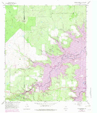 Download a high-resolution, GPS-compatible USGS topo map for Edwards Branch, TX (1982 edition)