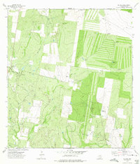 Download a high-resolution, GPS-compatible USGS topo map for El Sauz, TX (1975 edition)