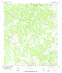 Download a high-resolution, GPS-compatible USGS topo map for Elbow Lake, TX (1974 edition)