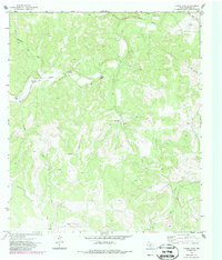 Download a high-resolution, GPS-compatible USGS topo map for Elbow Lake, TX (1987 edition)