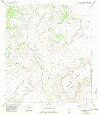 Download a high-resolution, GPS-compatible USGS topo map for Elephant Mountain, TX (1983 edition)