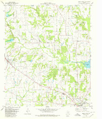 Download a high-resolution, GPS-compatible USGS topo map for Emory North, TX (1980 edition)