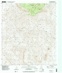 Download a high-resolution, GPS-compatible USGS topo map for Emory Peak, TX (2000 edition)