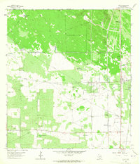 Download a high-resolution, GPS-compatible USGS topo map for Encino, TX (1965 edition)