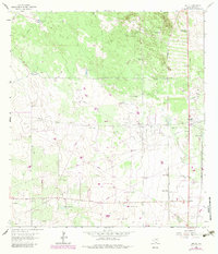Download a high-resolution, GPS-compatible USGS topo map for Encino, TX (1983 edition)
