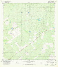 Download a high-resolution, GPS-compatible USGS topo map for Escobas, TX (1980 edition)