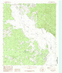Download a high-resolution, GPS-compatible USGS topo map for Etoile South, TX (1984 edition)