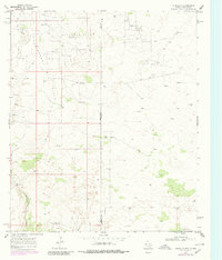 Download a high-resolution, GPS-compatible USGS topo map for Eunice SE, TX (1980 edition)
