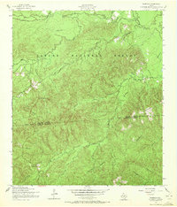 Download a high-resolution, GPS-compatible USGS topo map for Fairdale, TX (1972 edition)
