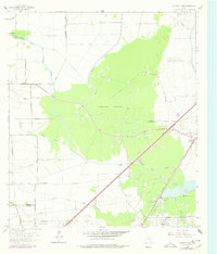 Download a high-resolution, GPS-compatible USGS topo map for Fannett West, TX (1978 edition)