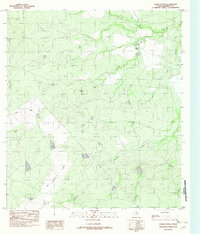preview thumbnail of historical topo map of Maverick County, TX in 1982