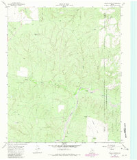 Download a high-resolution, GPS-compatible USGS topo map for Fields Canyon, TX (1981 edition)
