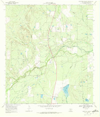 Download a high-resolution, GPS-compatible USGS topo map for Fitzpatrick Hollow, TX (1972 edition)