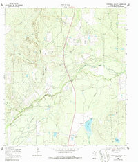 Download a high-resolution, GPS-compatible USGS topo map for Fitzpatrick Hollow, TX (1987 edition)