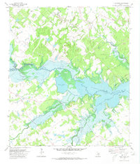 Download a high-resolution, GPS-compatible USGS topo map for Flag Pond, TX (1973 edition)