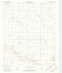 Download a high-resolution, GPS-compatible USGS topo map for Flagg, TX (1981 edition)