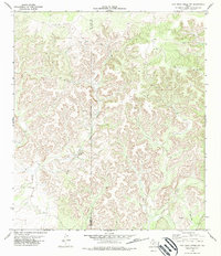 preview thumbnail of historical topo map of Edwards County, TX in 1978