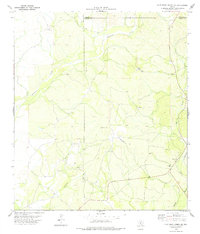 Download a high-resolution, GPS-compatible USGS topo map for Flat Rock Creek SW, TX (1978 edition)
