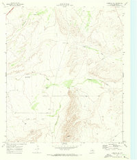 Download a high-resolution, GPS-compatible USGS topo map for Florenzo Hill, TX (1973 edition)