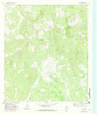 Download a high-resolution, GPS-compatible USGS topo map for Fly Gap, TX (1982 edition)