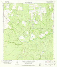 Download a high-resolution, GPS-compatible USGS topo map for Flying W Ranch, TX (1977 edition)