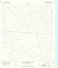 Download a high-resolution, GPS-compatible USGS topo map for Flynt Ranch, TX (1968 edition)