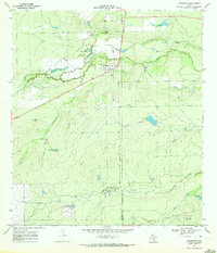 Download a high-resolution, GPS-compatible USGS topo map for Fowlerton, TX (1972 edition)