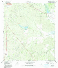 Download a high-resolution, GPS-compatible USGS topo map for Freer South, TX (1991 edition)