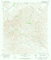 Download a high-resolution, GPS-compatible USGS topo map for Fresno Creek, TX (1971 edition)