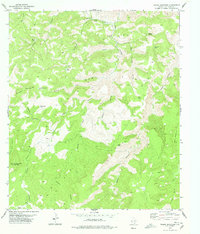 Download a high-resolution, GPS-compatible USGS topo map for Friend Mountain, TX (1978 edition)