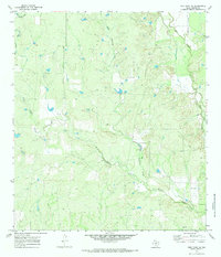 Download a high-resolution, GPS-compatible USGS topo map for Frio Town NE, TX (1984 edition)