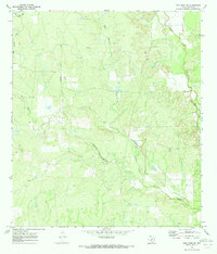 Download a high-resolution, GPS-compatible USGS topo map for Frio Town NE, TX (1973 edition)