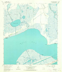 Download a high-resolution, GPS-compatible USGS topo map for Frozen Point, TX (1964 edition)