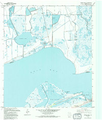 Download a high-resolution, GPS-compatible USGS topo map for Frozen Point, TX (1994 edition)