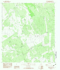 preview thumbnail of historical topo map of Webb County, TX in 1982