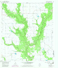 Download a high-resolution, GPS-compatible USGS topo map for Ganado NE, TX (1983 edition)