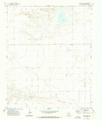 Download a high-resolution, GPS-compatible USGS topo map for Garcia Lake, TX (1973 edition)
